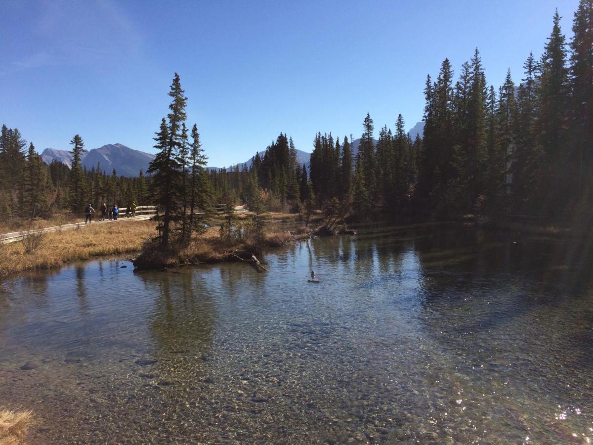 Apartment 405 Bear Creek Crossing Canmore Dış mekan fotoğraf